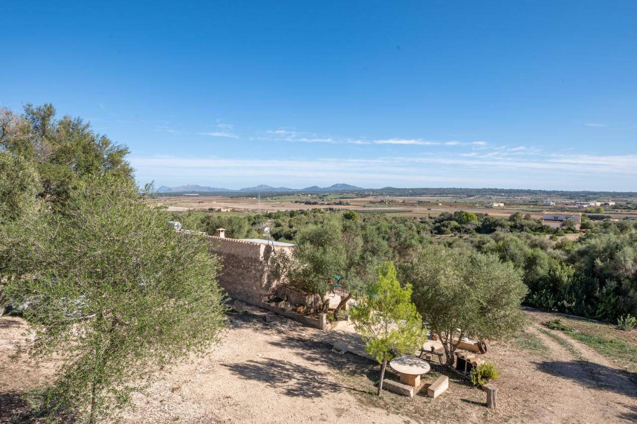 Son Pusseta Villa Petra  Bagian luar foto